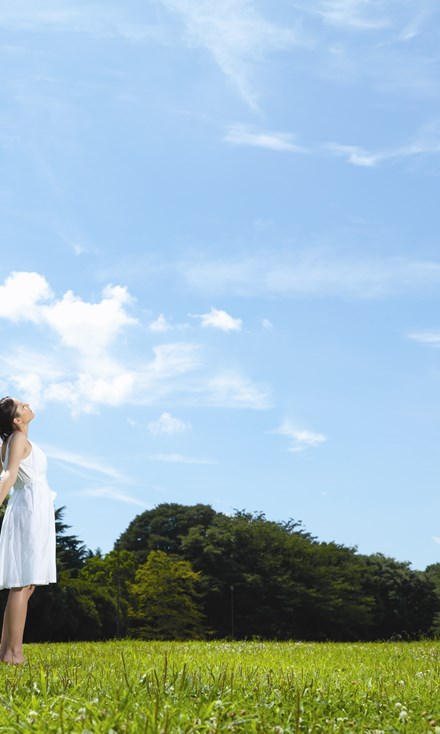 Reecon Air Pollution